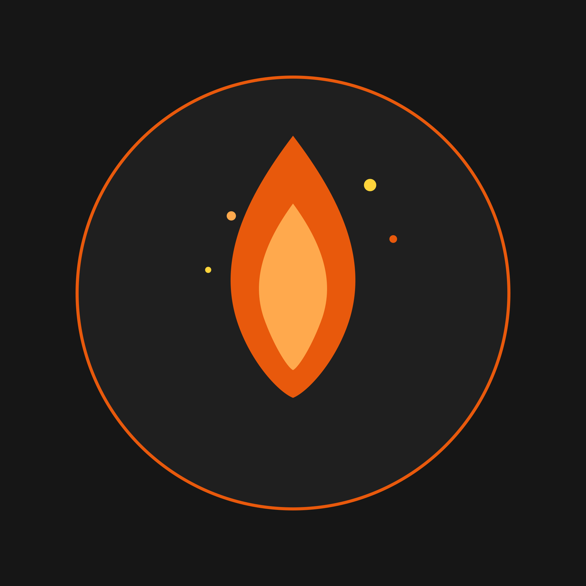 Forge Fitness — Personalised Fitness Programme